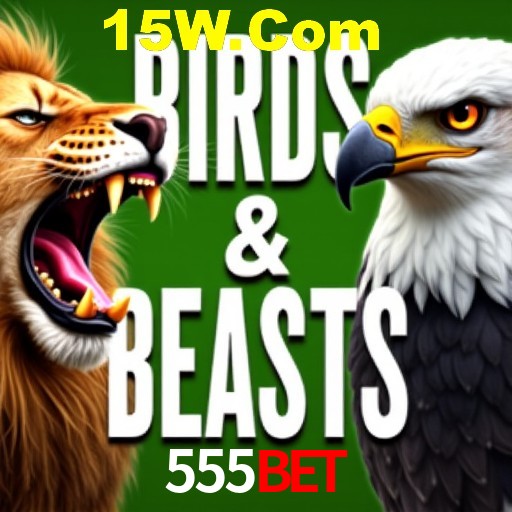 Apostas Esportivas na 555Bet: Um Guia Completo